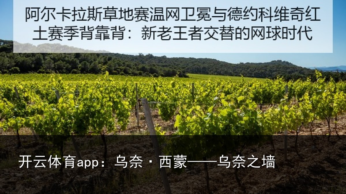开云体育app：乌奈·西蒙——乌奈之墙