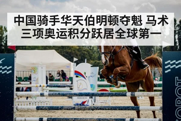 horse show jumping